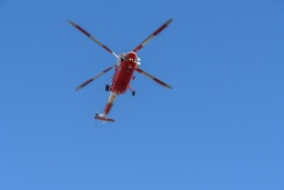 DSC_9727.jpg